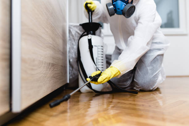 Best Pest Control for Restaurants  in Watts Mills, SC