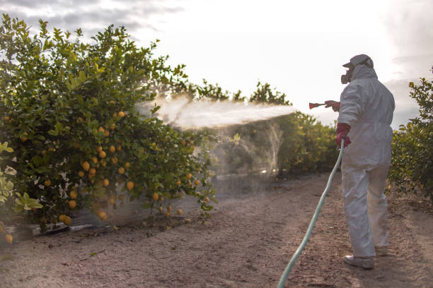 Best Wildlife Control Services  in Watts Mills, SC