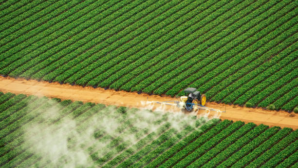 Best Pest Removal Services  in Watts Mills, SC